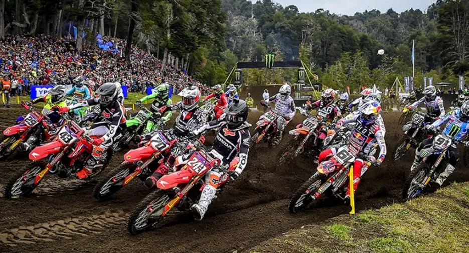 Screenshot_20240929-150544~2