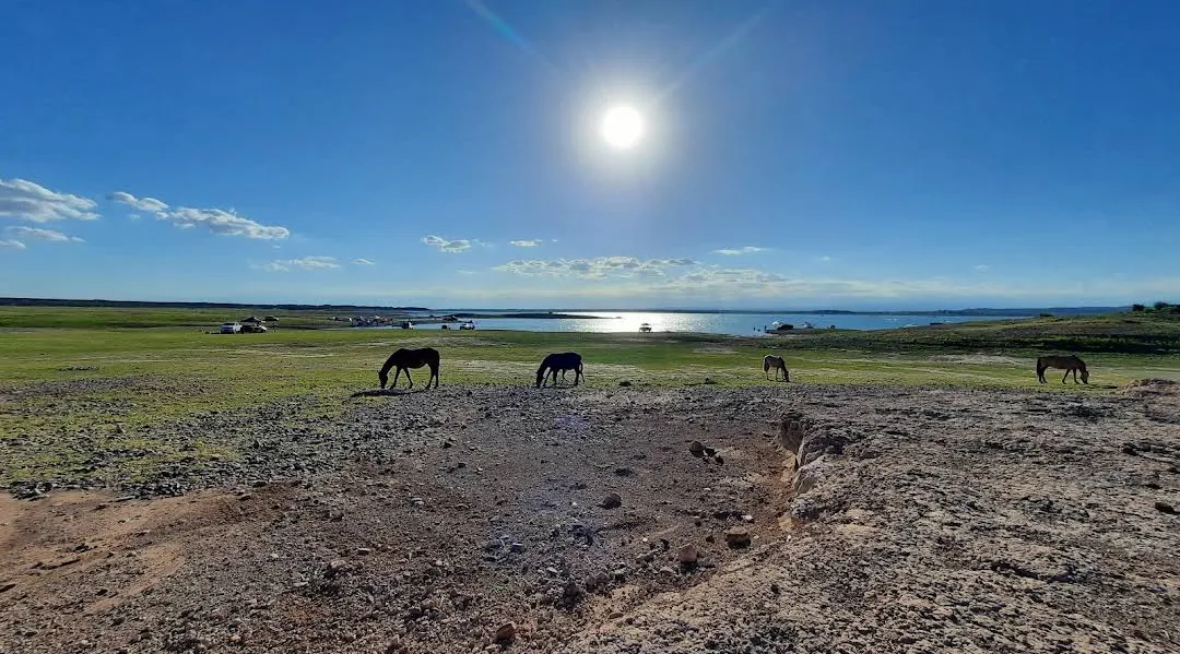 Screenshot_20241129-020110~2