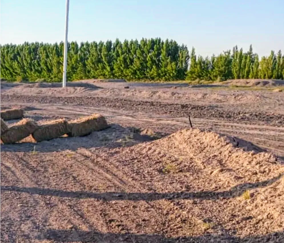 Screenshot_20241213-105236~4