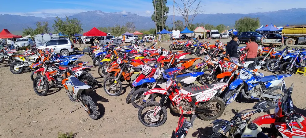 IMG_20241013_091808233_AE