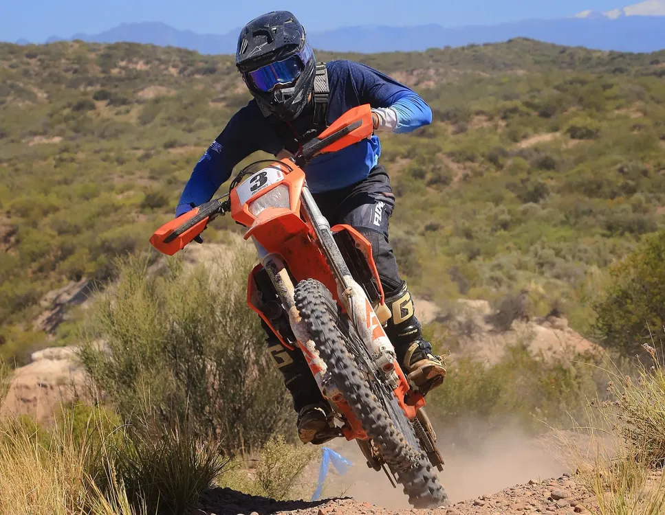 IMG-20251103-WA0126~2