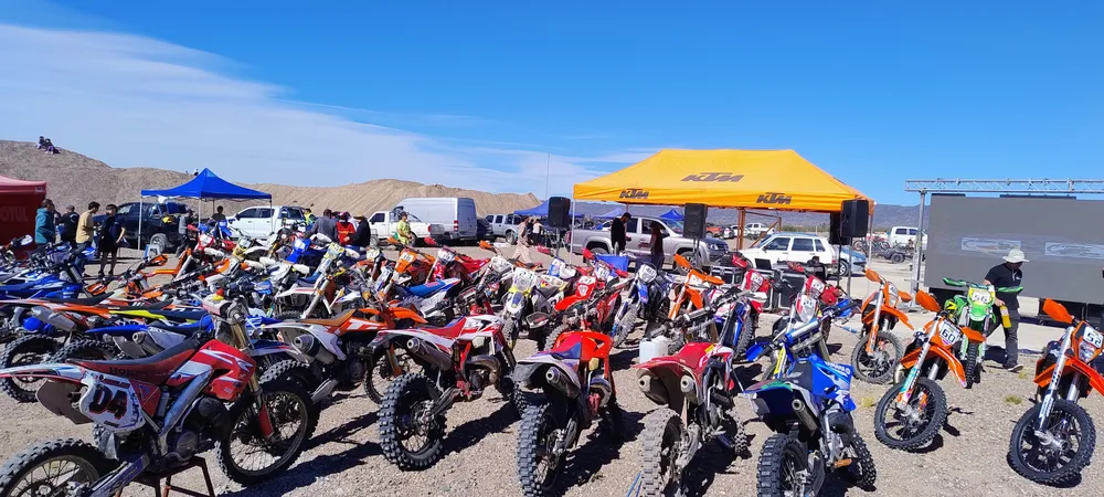 IMG_20250413_113354789_AE