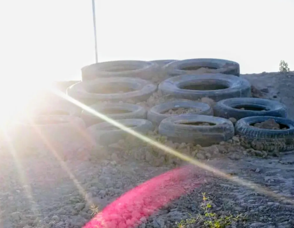 Screenshot_20241213-105223~4