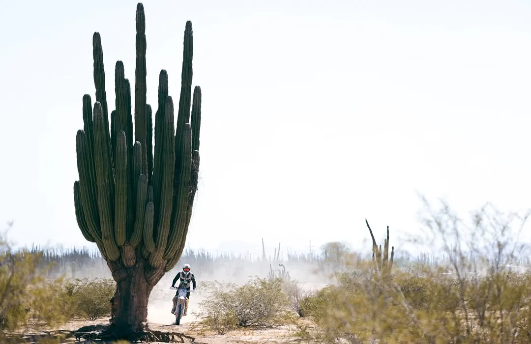 Screenshot_20250317-214105~2