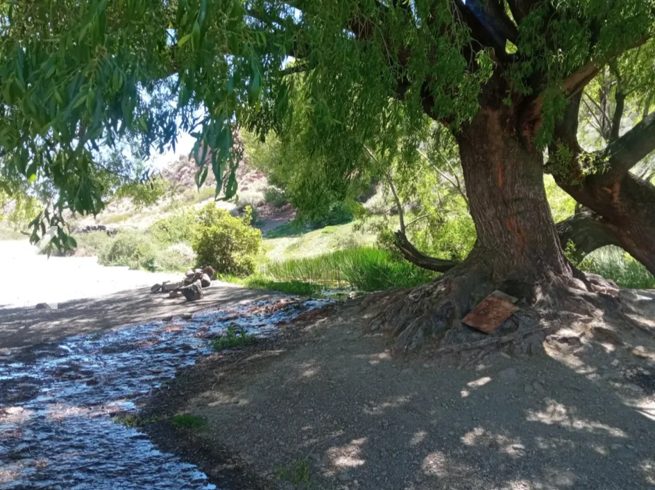 Screenshot_20240405-163248~2