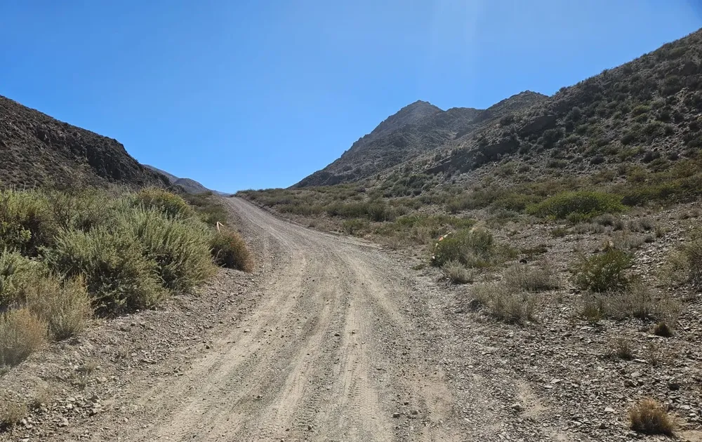 IMG-20240404-WA0080~2