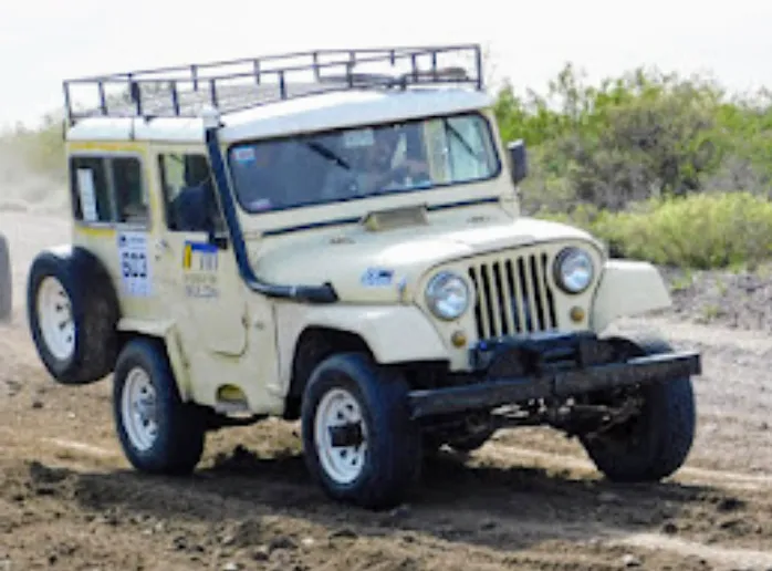 Screenshot_20250331-232525~3