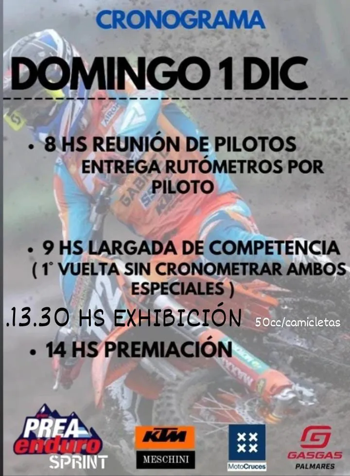 IMG-20241121-WA0019(1)