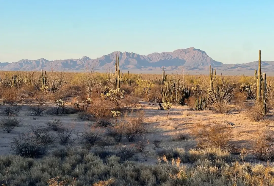 Screenshot_20250319-222053~2