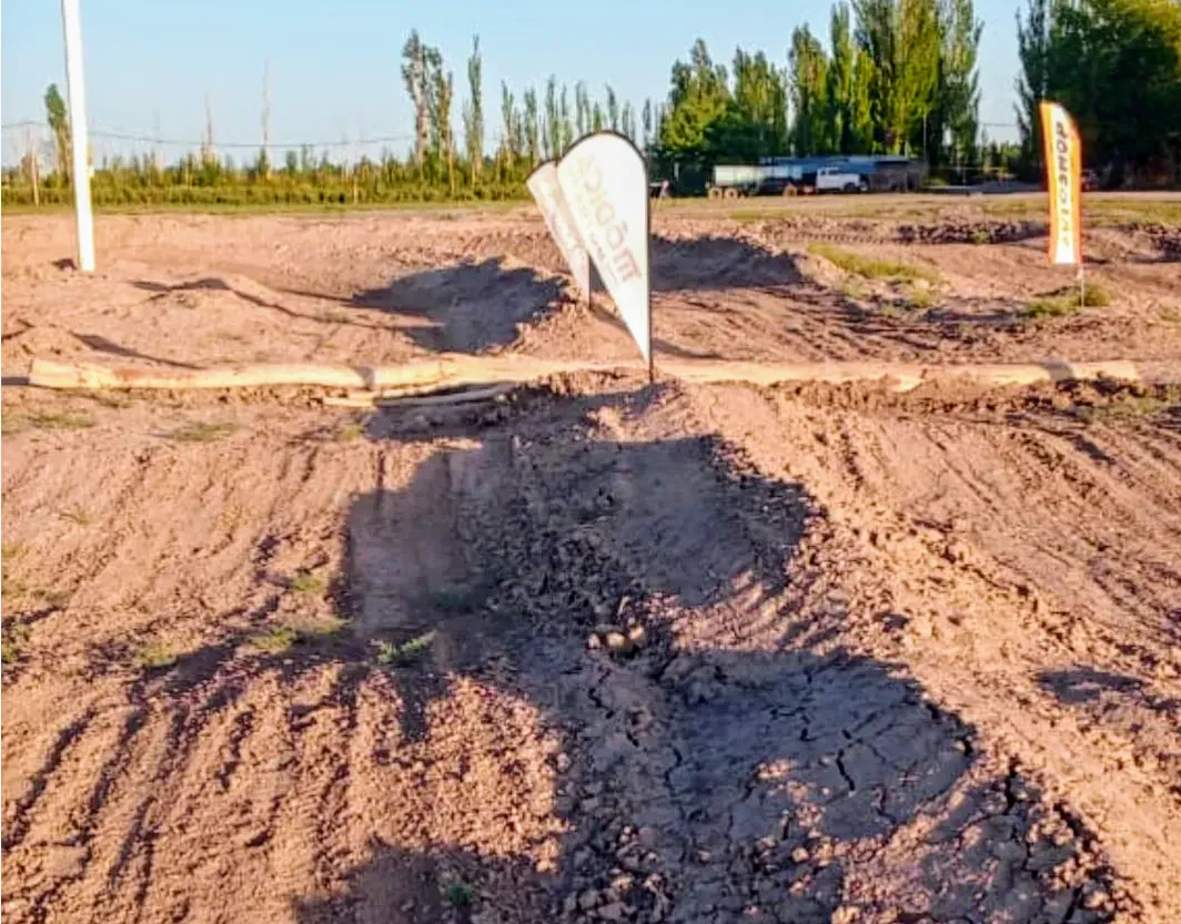 Screenshot_20241213-105241~4